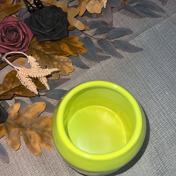 Poison Rae Dunn slime look canister - Picture 7 of 7